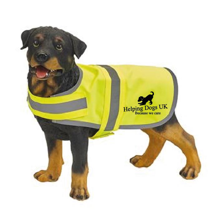 Dog Hi-Vis