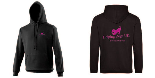 Ladies Hoodie