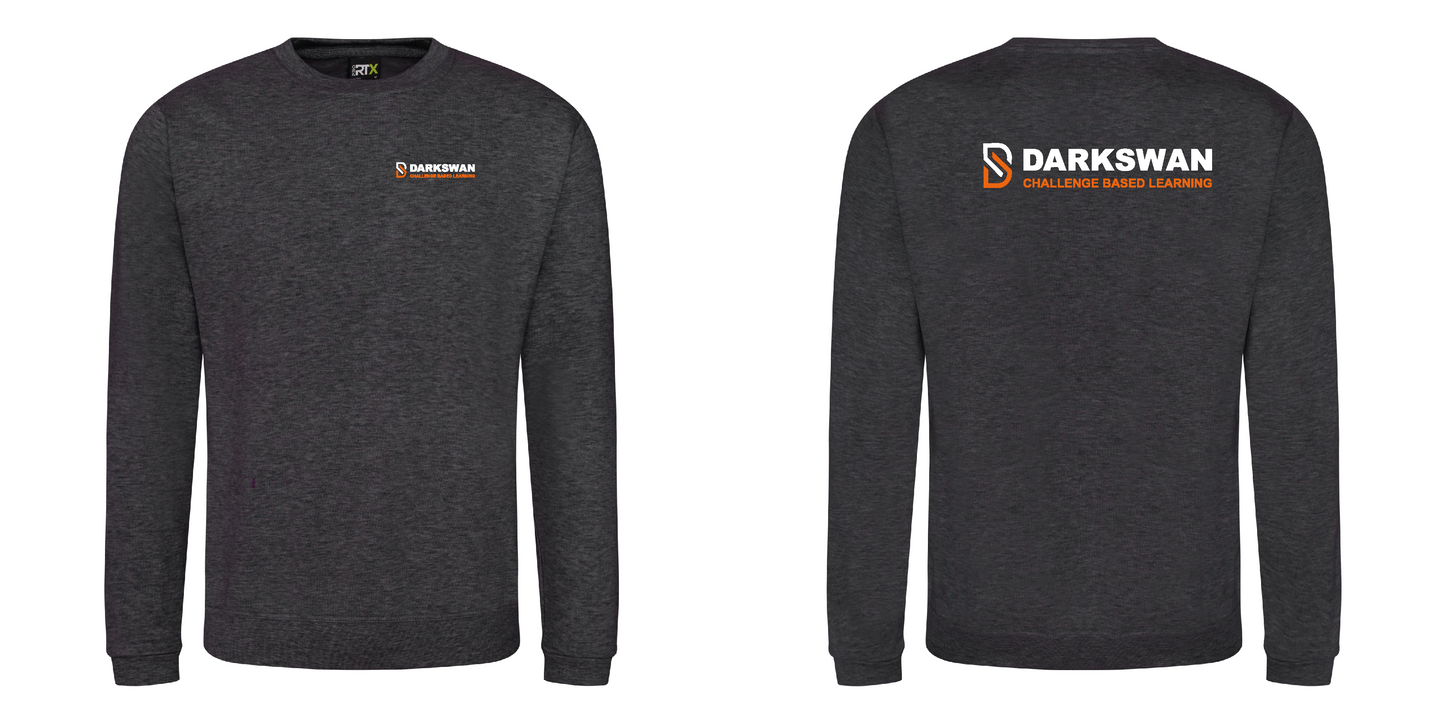 Sweatshirt (option 2)