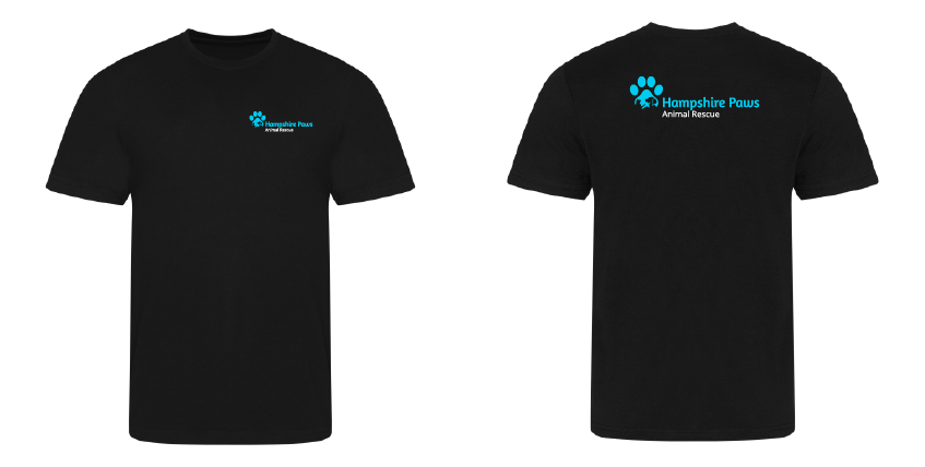Ladies T Shirt